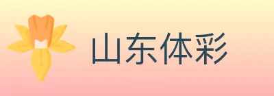 山东体彩 logo